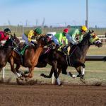 2026 Century Mile Handicap at a Glance